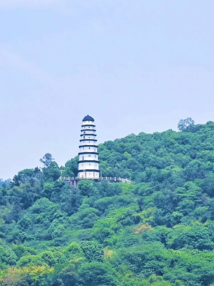 1小时城市朋友圈要来了,宜宾美景美食即将再“出圈”