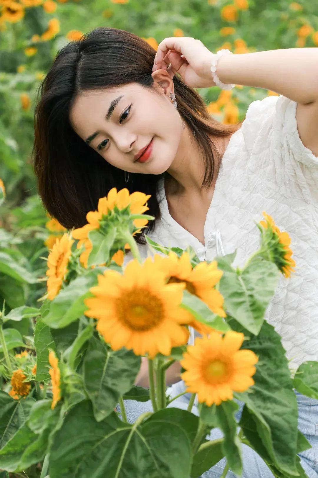 宜宾李庄古镇藏有向日葵花海,错过等明年