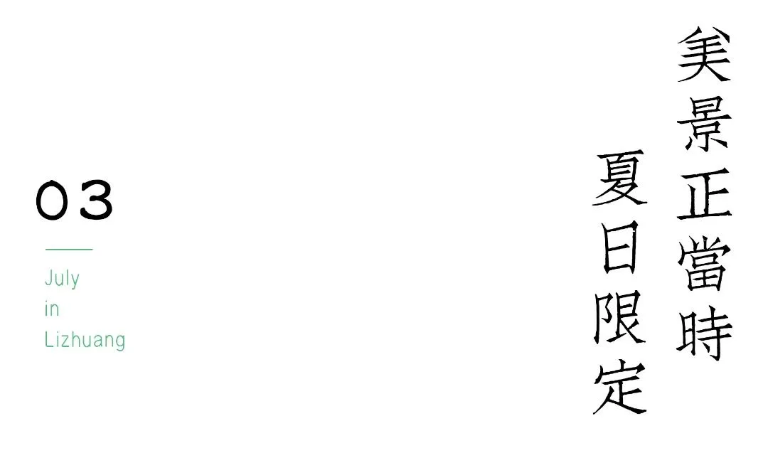 宜宾李庄古镇藏有向日葵花海,错过等明年