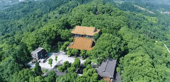 仙境!摩崖石刻、十八罗汉、千手观音,“江南小桂林”藏不住了