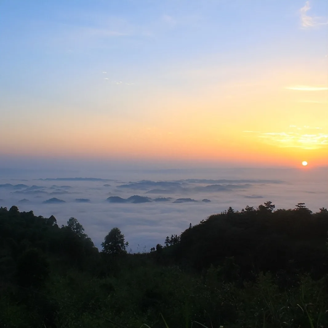 总要去一趟天府旅游名县「纳溪」吧丨四川文旅厅推荐