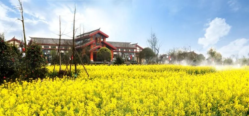 总要去一趟天府旅游名县「纳溪」吧丨四川文旅厅推荐