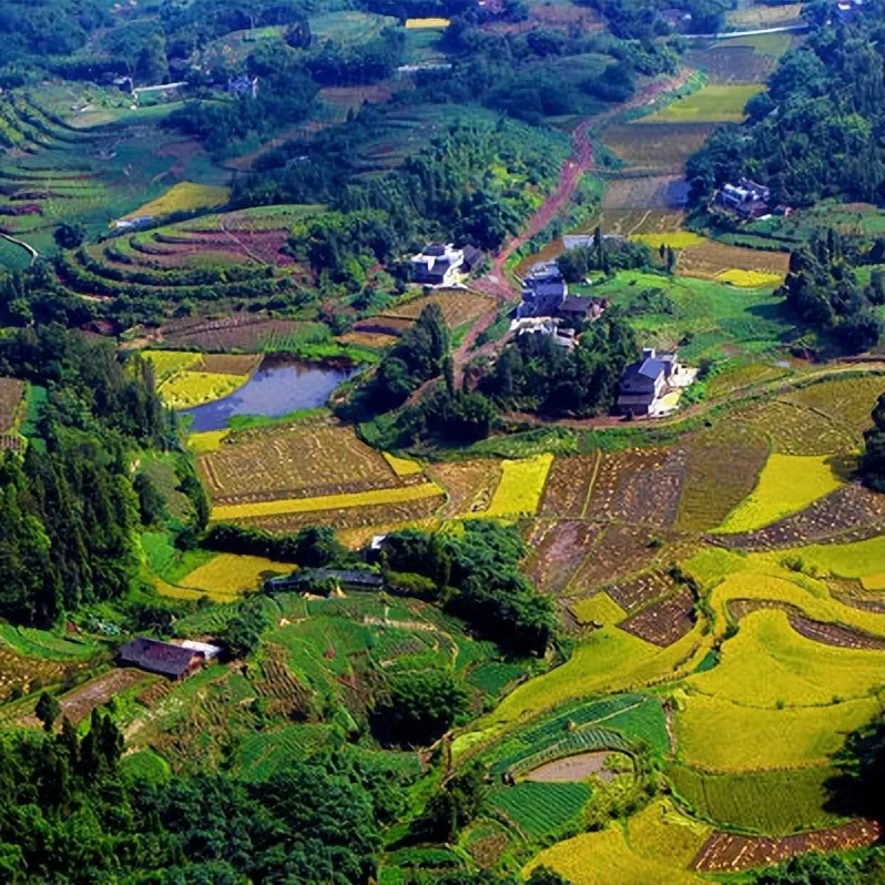 总要去一趟天府旅游名县「纳溪」吧丨四川文旅厅推荐