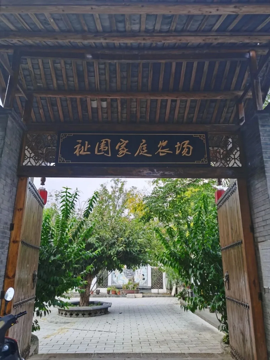 芙蓉四季【“村”游攻略】出城5分钟,这处水墨山村值得你来一次溯溪