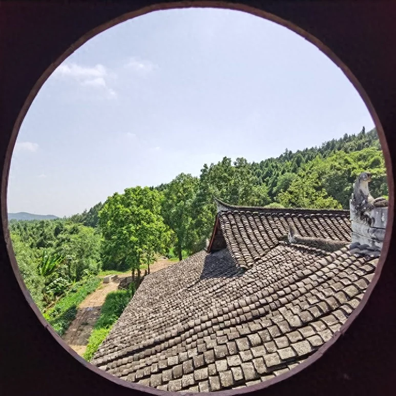 芙蓉四季鱼泉寺寻古 鱼跃山泉中,深山古寺幽