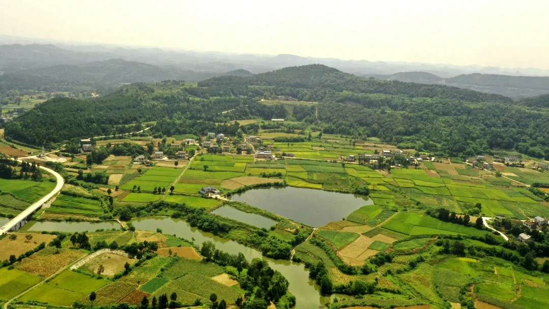 芙蓉四季鱼泉寺寻古 鱼跃山泉中，深山古寺幽