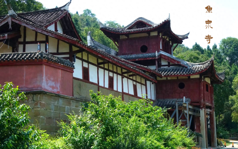 芙蓉四季鱼泉寺寻古 鱼跃山泉中，深山古寺幽