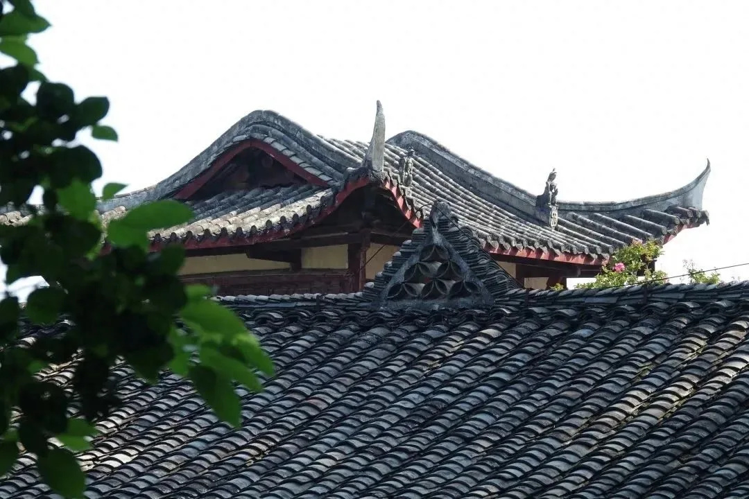 芙蓉四季鱼泉寺寻古 鱼跃山泉中,深山古寺幽