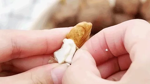 绵阳平武最好吃的“山货”当然是它！赶紧尝鲜巴适得板~