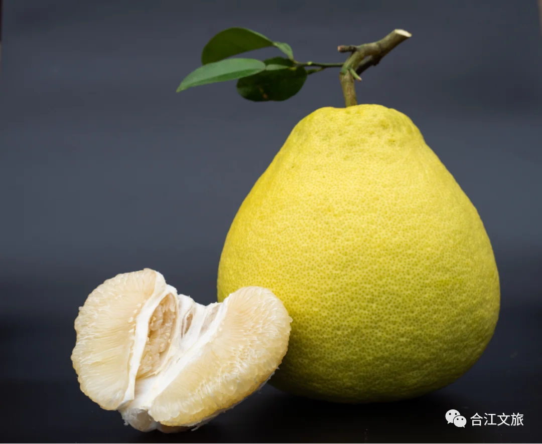 这个丰收季,合江真龙柚已悄悄咪咪上线了!