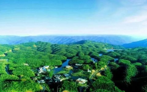 初冬的味道，从合江玉兰山的“年猪汤”开始！