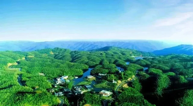 初冬的味道,从合江玉兰山的“年猪汤”开始!