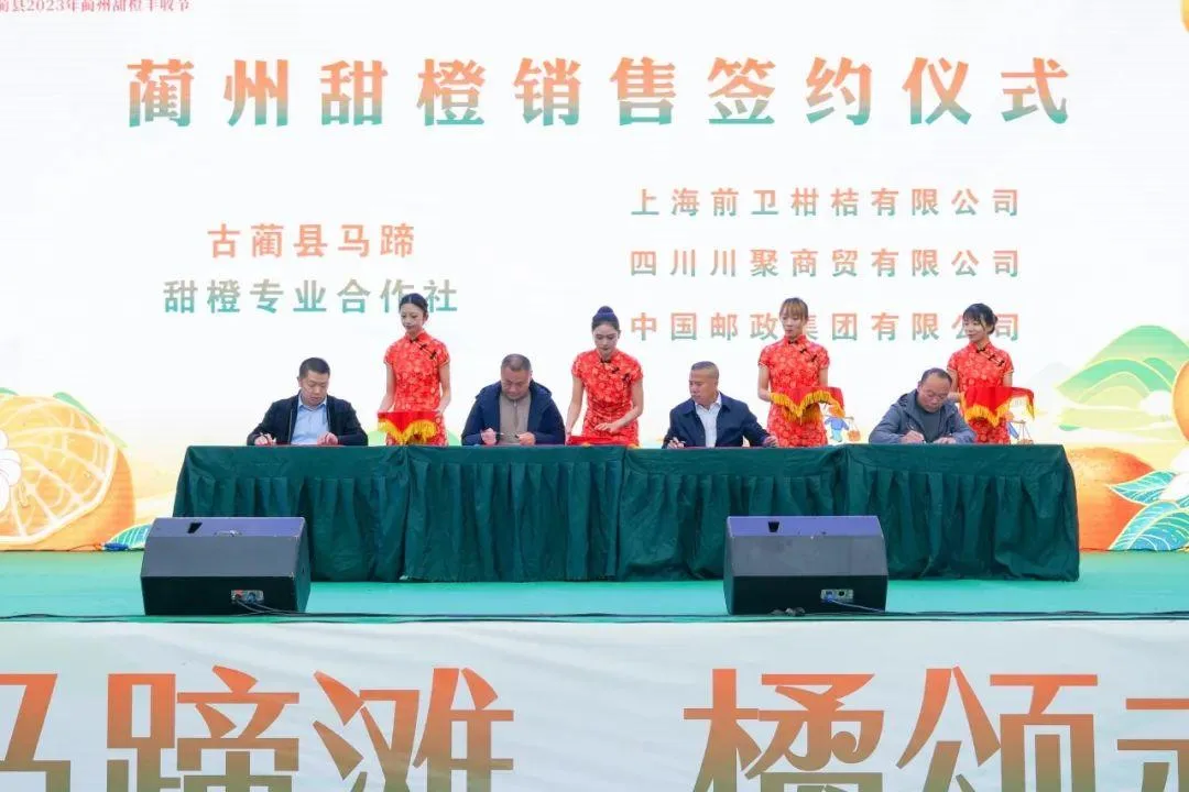 蔺州甜橙丰收节开幕!