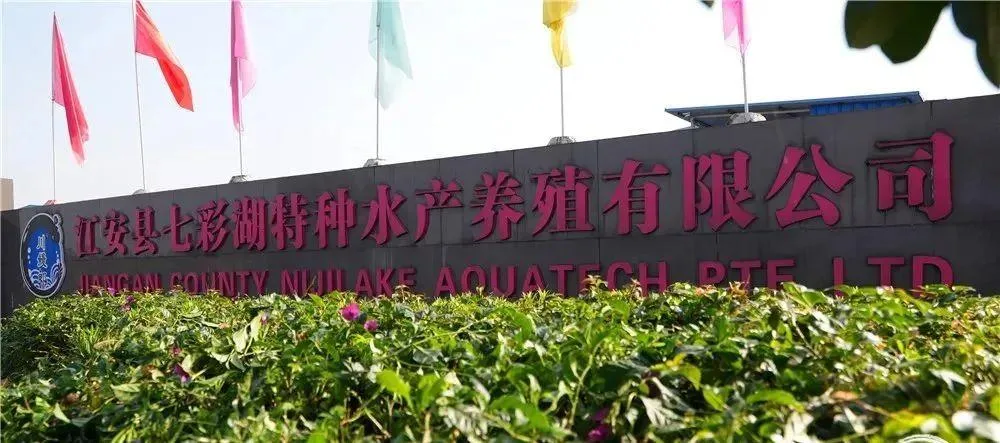 宜宾竟藏了这么多宝藏回礼?前三很多本地人都不晓得!