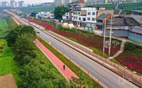 网红桥、网红沙滩、无边界泳池，泸州这个工程春节前亮相！