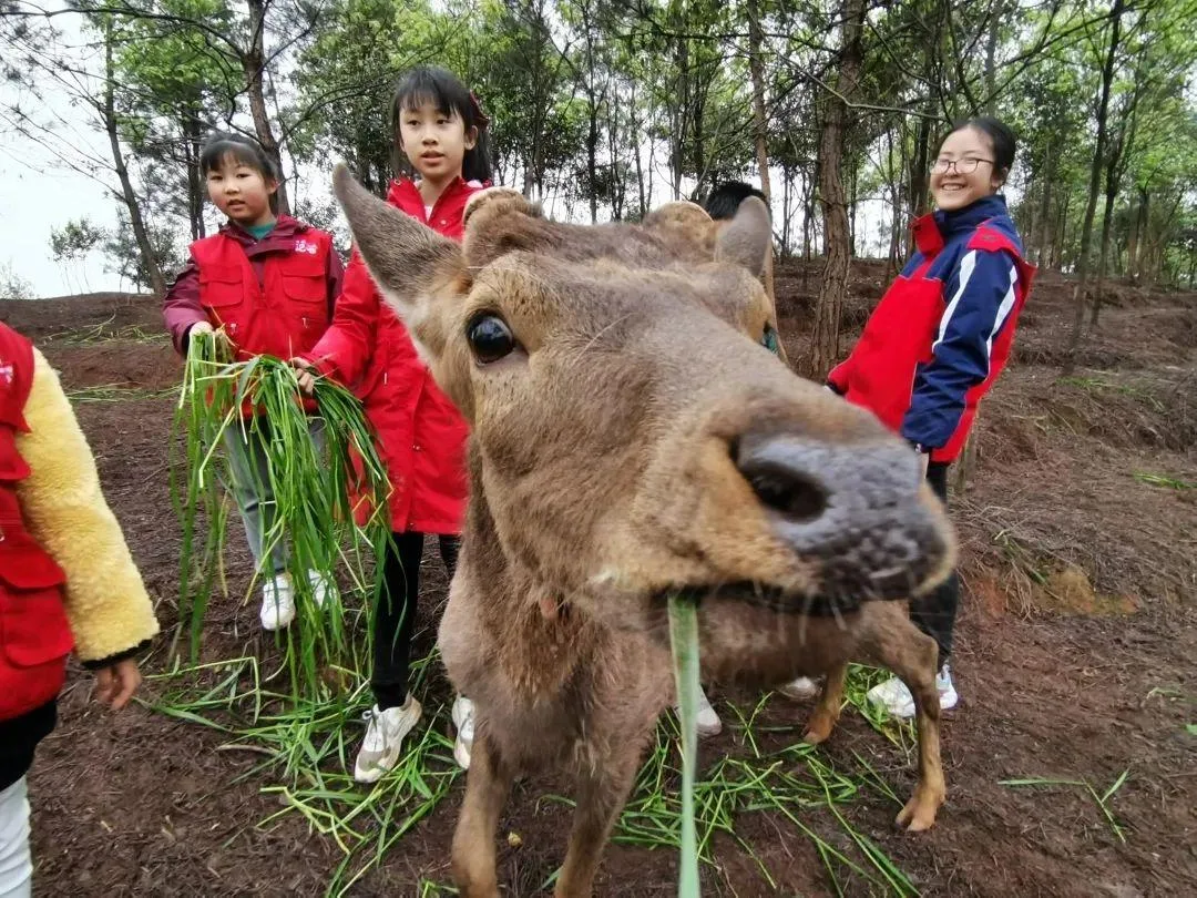 宜宾竟藏了这么多宝藏回礼?前三很多本地人都不晓得!