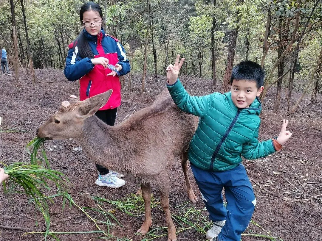 宜宾竟藏了这么多宝藏回礼?前三很多本地人都不晓得!