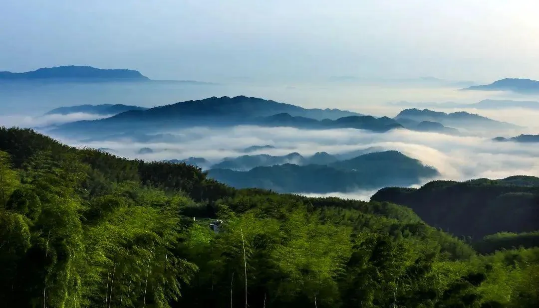 1元门票明日开抢!附景区攻略,助你畅游宜宾