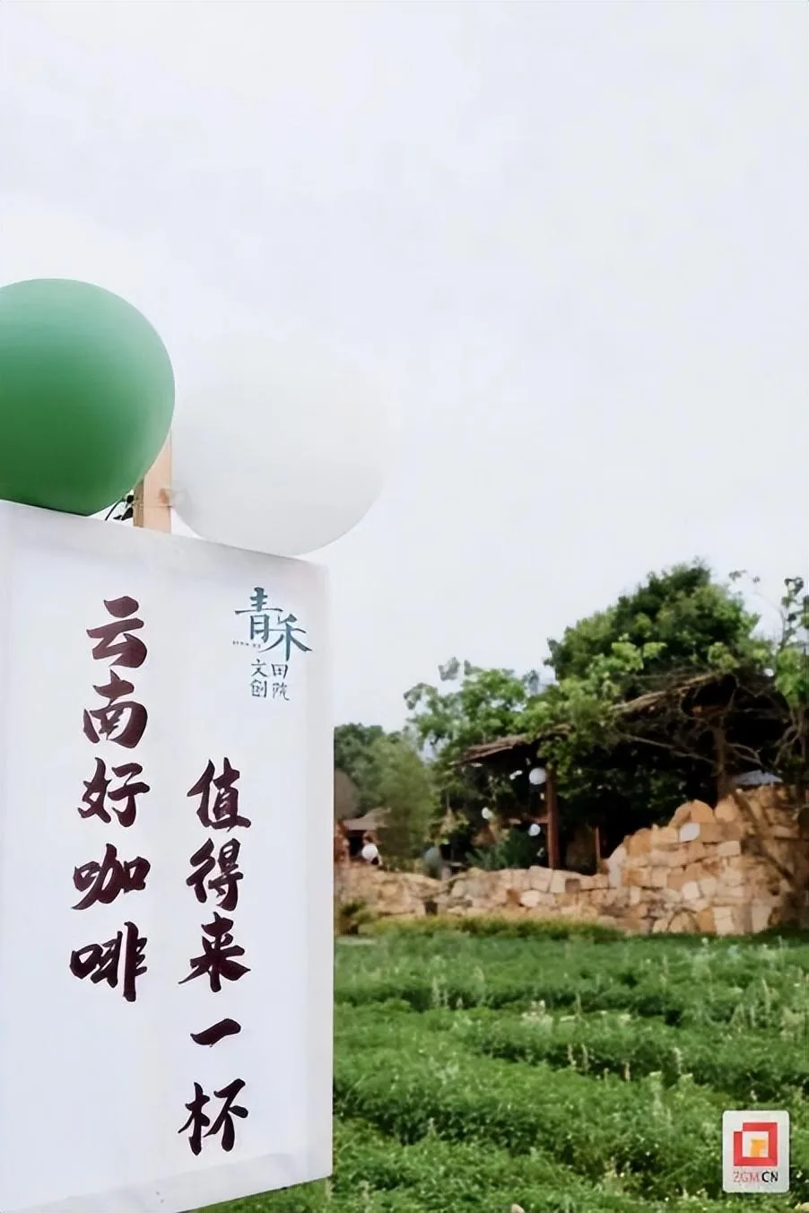 在富顺长滩,咖啡文旅与田园山水“撞个满怀”