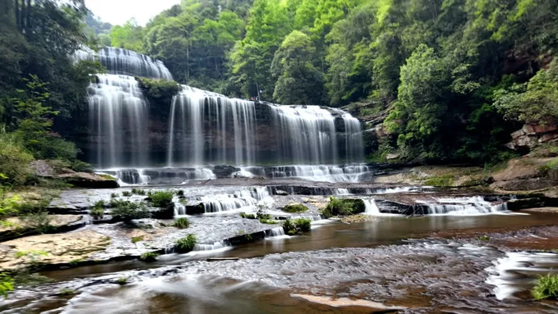 泸州古蔺:建设天府旅游名县 奋力书写文旅融合得意之笔(图10) 黄荆老林三练摊瀑布_副本.jpg