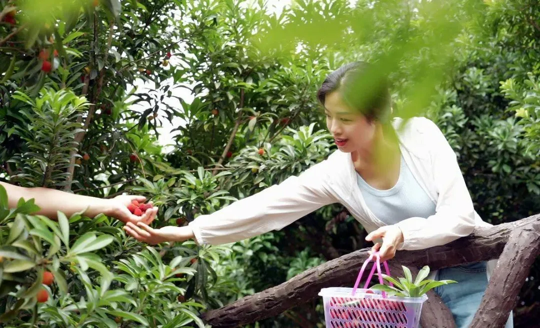 游泸州·醉幸福｜六月，我们在龙卦山相见