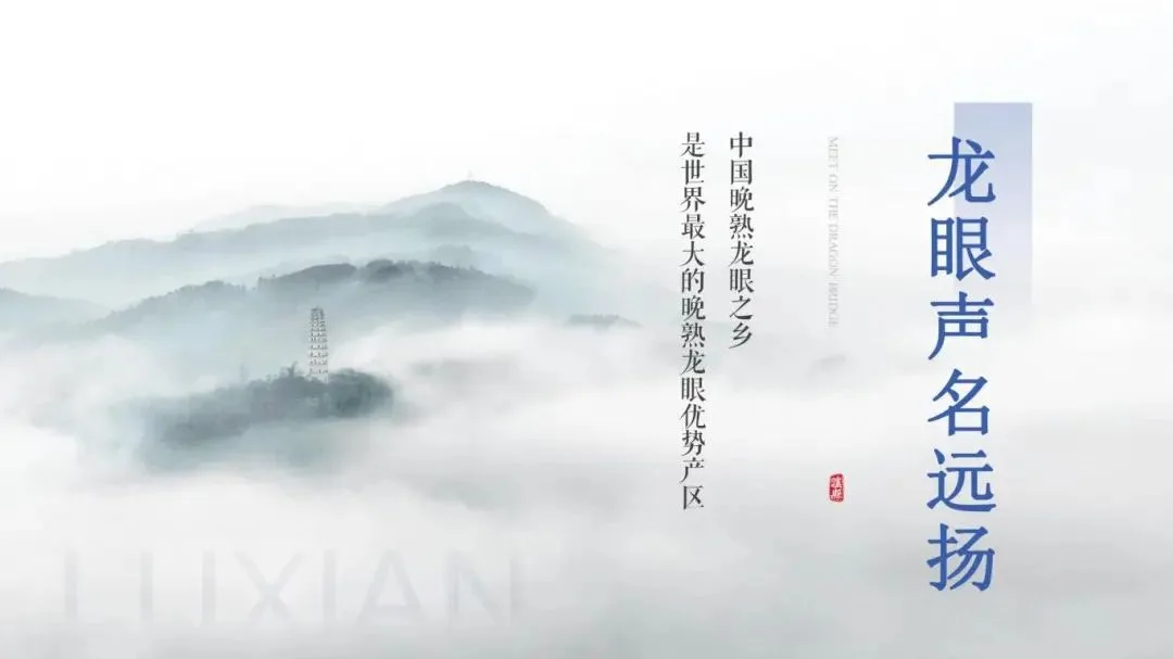 中国龙文化之乡泸县,“龙”情盛意、“城”邀您来!