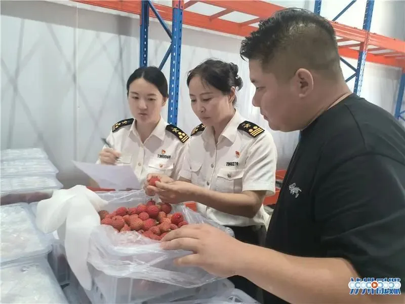 4吨合江荔枝“甜”到美国 全省属首批