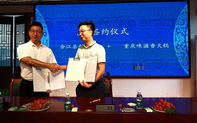 合江县新联会与江津区新专联携手 促进川渝两地农旅产业创新发展