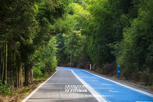 泸州会“唱歌”的公路+1,就在这里(图3) 微信图片_20240801115930.jpg