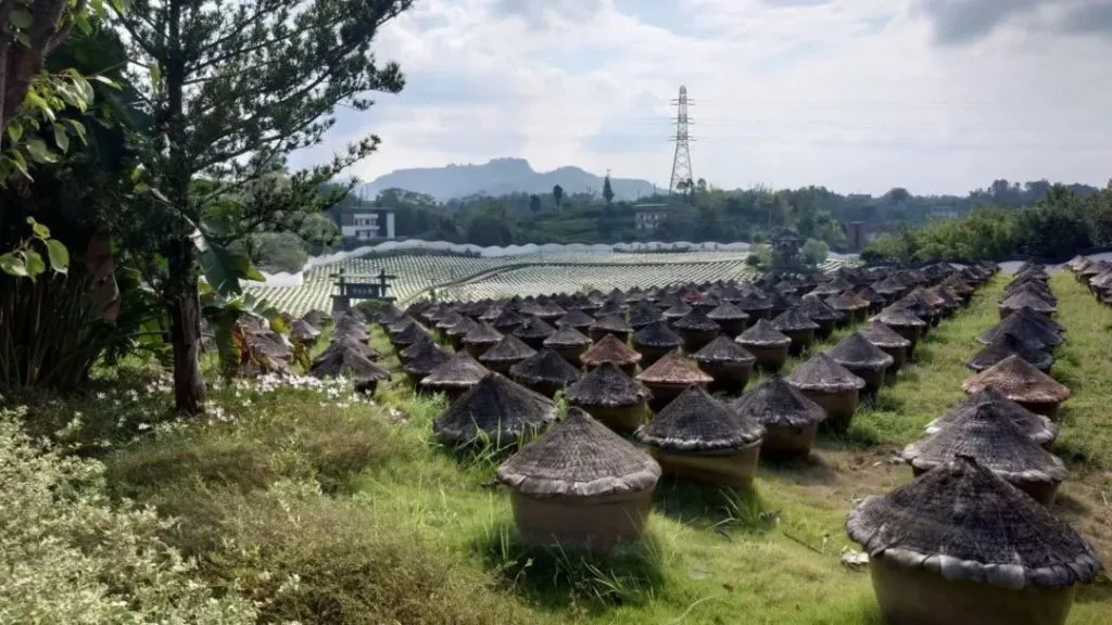重温昔日|永兴诚创始人张茂玖后人,至永兴诚酱油博览园参观