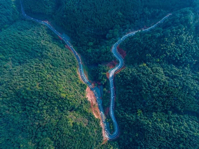 泸州这条乡村公路美出圈！
