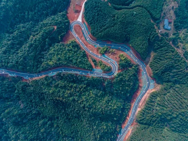 泸州这条乡村公路美出圈!