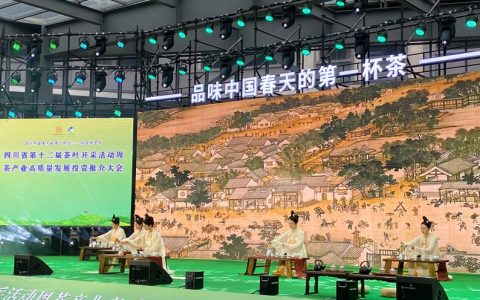 纳溪特早茶：品牌闪耀，茶旅融合助推高质量发展