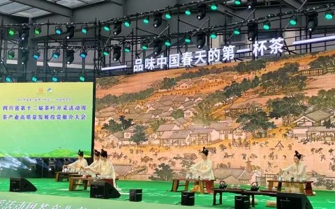 纳溪特早茶：品牌闪耀，茶旅融合助推高质量发展