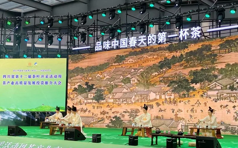 纳溪特早茶:品牌闪耀,茶旅融合助推高质量发展