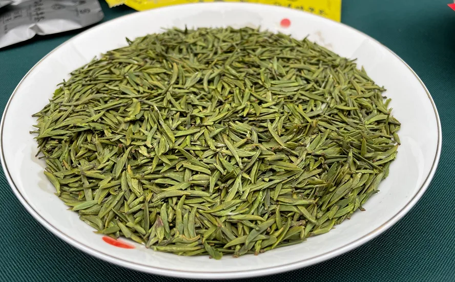 纳溪特早茶:品牌闪耀,茶旅融合助推高质量发展