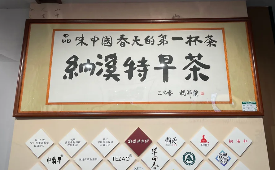 纳溪特早茶:品牌闪耀,茶旅融合助推高质量发展
