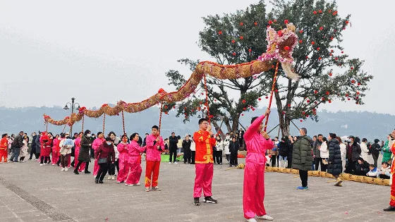 这个春节,宜宾好多名场面!(图8) 8.gif