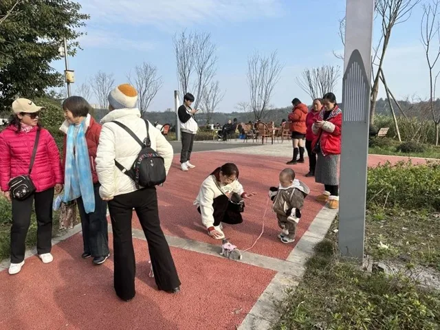 泸州正在打造3处口袋公园,还将新建5处