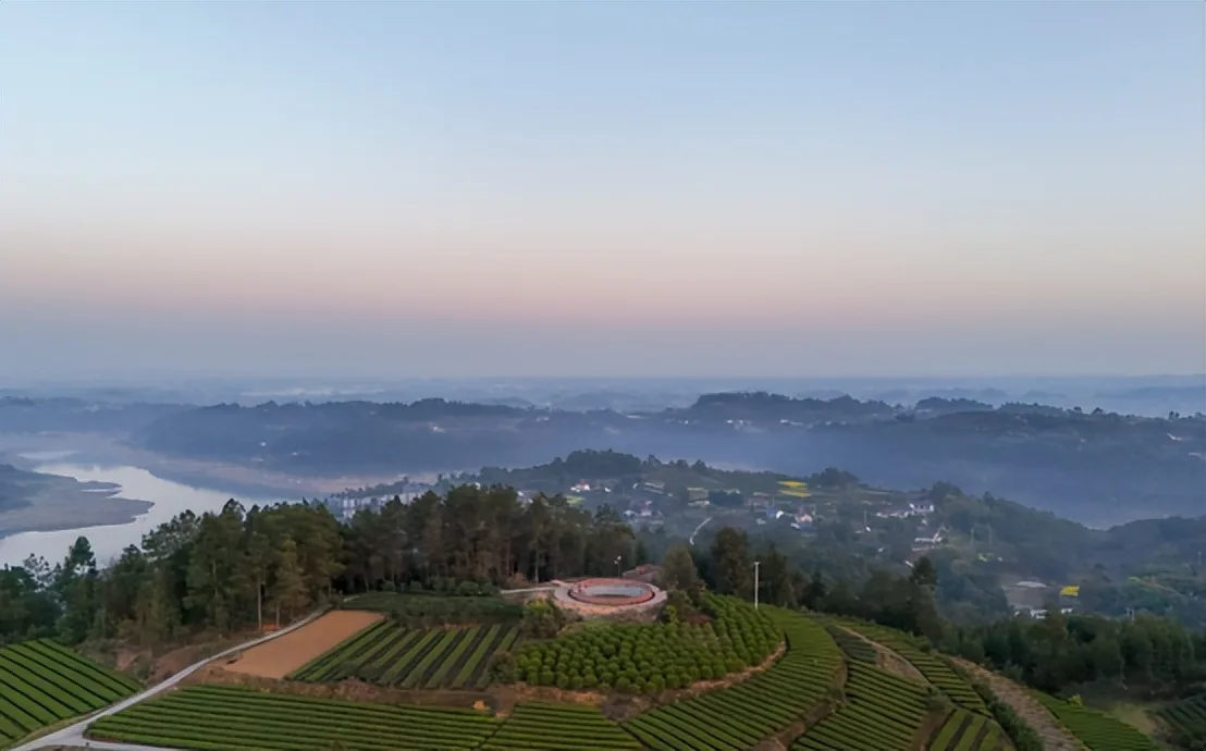 来荣县,邂逅一场绝美的茶山日出!