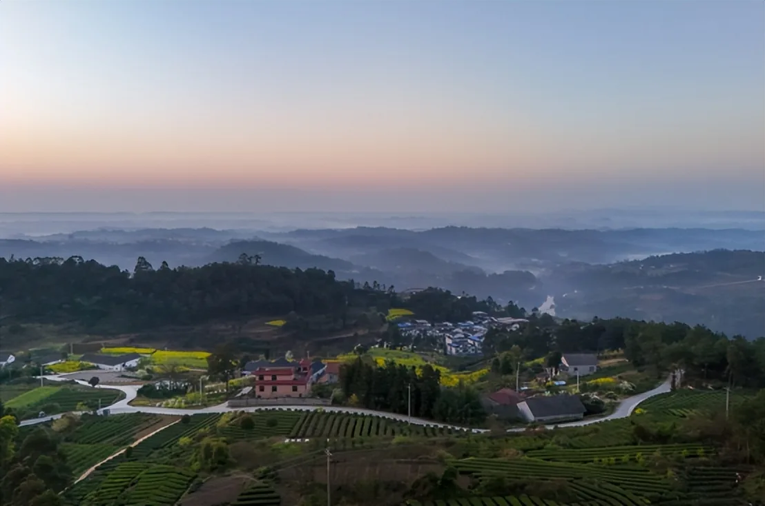 来荣县,邂逅一场绝美的茶山日出!