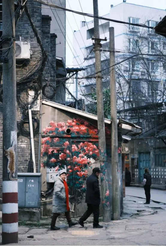 川南古韵 富顺后街“三街四巷”隐藏的73处“宝藏”等你来寻