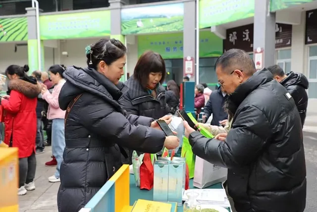 让绿叶子成为金名片 | 纳溪区:打造百亿茶产业(图3) 茶3.jpg