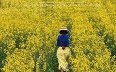 插花、扎染、品茶、火锅…请你查收来自纳溪安富街道一封关于春天的邀请函！