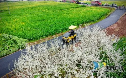 泸县百和镇给你发来“请帖”：游花海、吃火锅、听音乐、赏莲枪龙舞