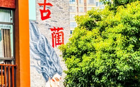 古蔺酒街：古韵与酒香交织的诗意之地