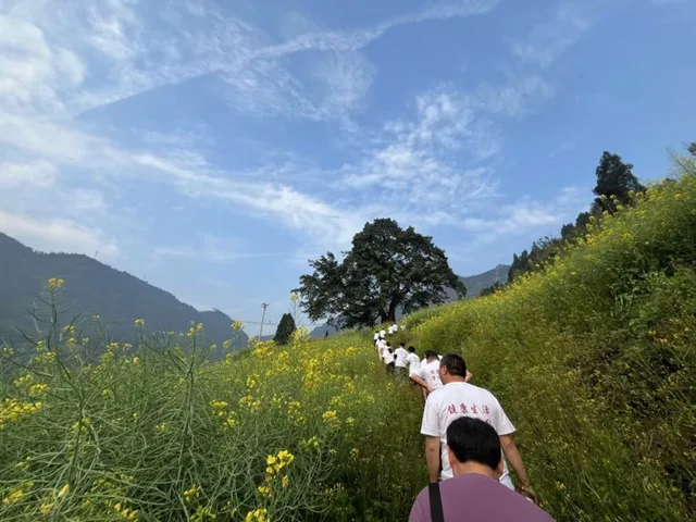 千元大奖等你来 法王寺龙卦山第二届全民登山节开启报名通道!(图6) 6.jpg