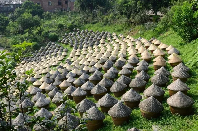 各有特色,全都精彩!酒博会5条精品旅游线路等你打卡(图13) 13.jpg