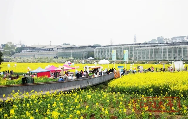 各有特色,全都精彩!酒博会5条精品旅游线路等你打卡(图16) 16.jpg