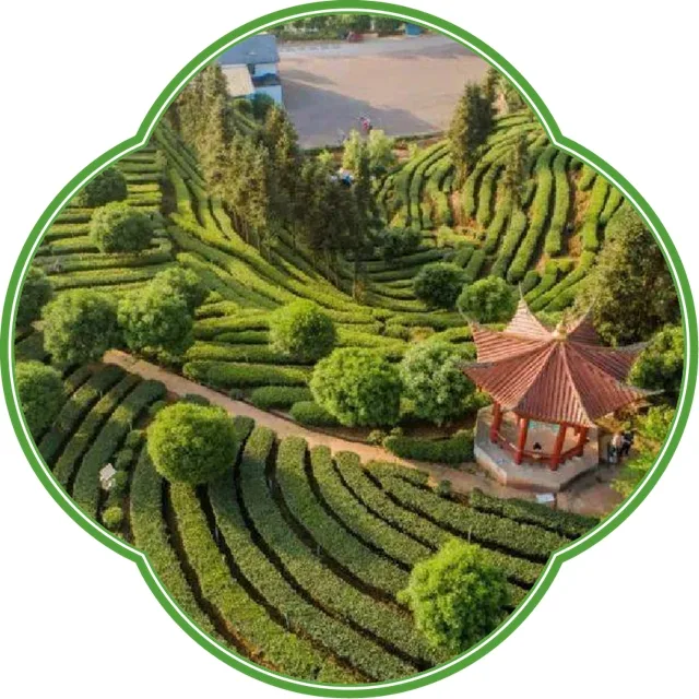 各有特色,全都精彩!酒博会5条精品旅游线路等你打卡(图14) 14.jpg
